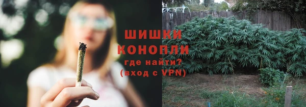 кокс Нея