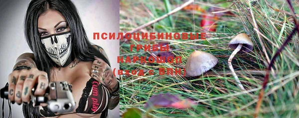 кокс Нея