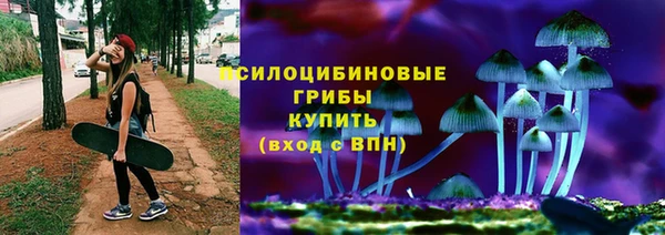 кокс Нея