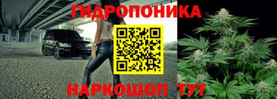 ГАЛЛЮЦИНОГЕННЫЕ ГРИБЫ Заволжье