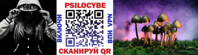 Галлюциногенные грибы Psilocybine cubensis Новокузнецк