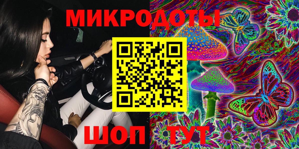 Псилоцибиновые грибы Psilocybe Новокузнецк