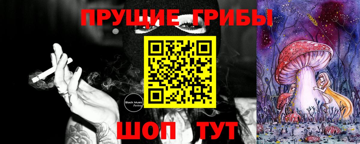 Псилоцибиновые грибы GOLDEN TEACHER  Новокузнецк 