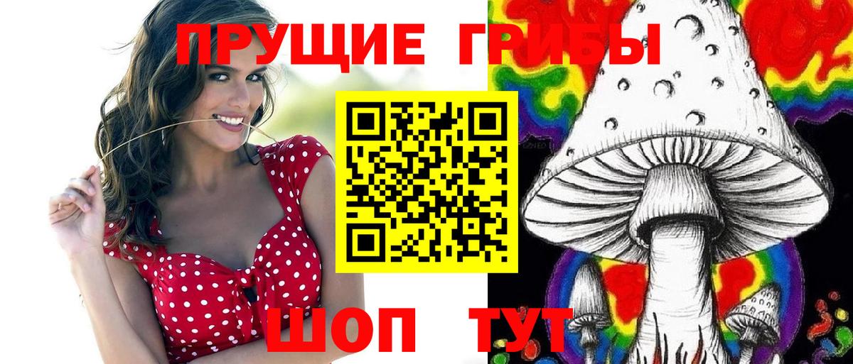 Галлюциногенные грибы Psilocybe Новокузнецк