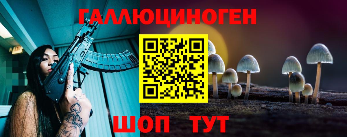 Новокузнецк  Галлюциногенные грибы Cubensis  Псилоцибиновые грибы Cubensis  Вход с VPN 
