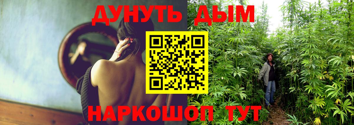 Бошки марихуана семена Новокузнецк